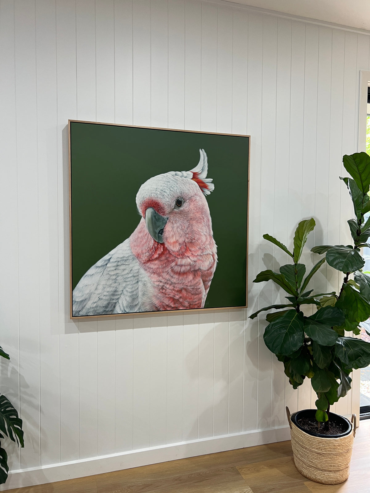 Dawn the Pink Cockatoo canvas print