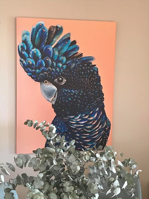 &#39;Jarrah&#39; The Red Tailed Black Cockatoo canvas print