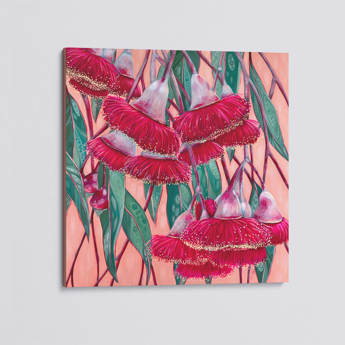 'Silver Princess' flowering gum canvas print