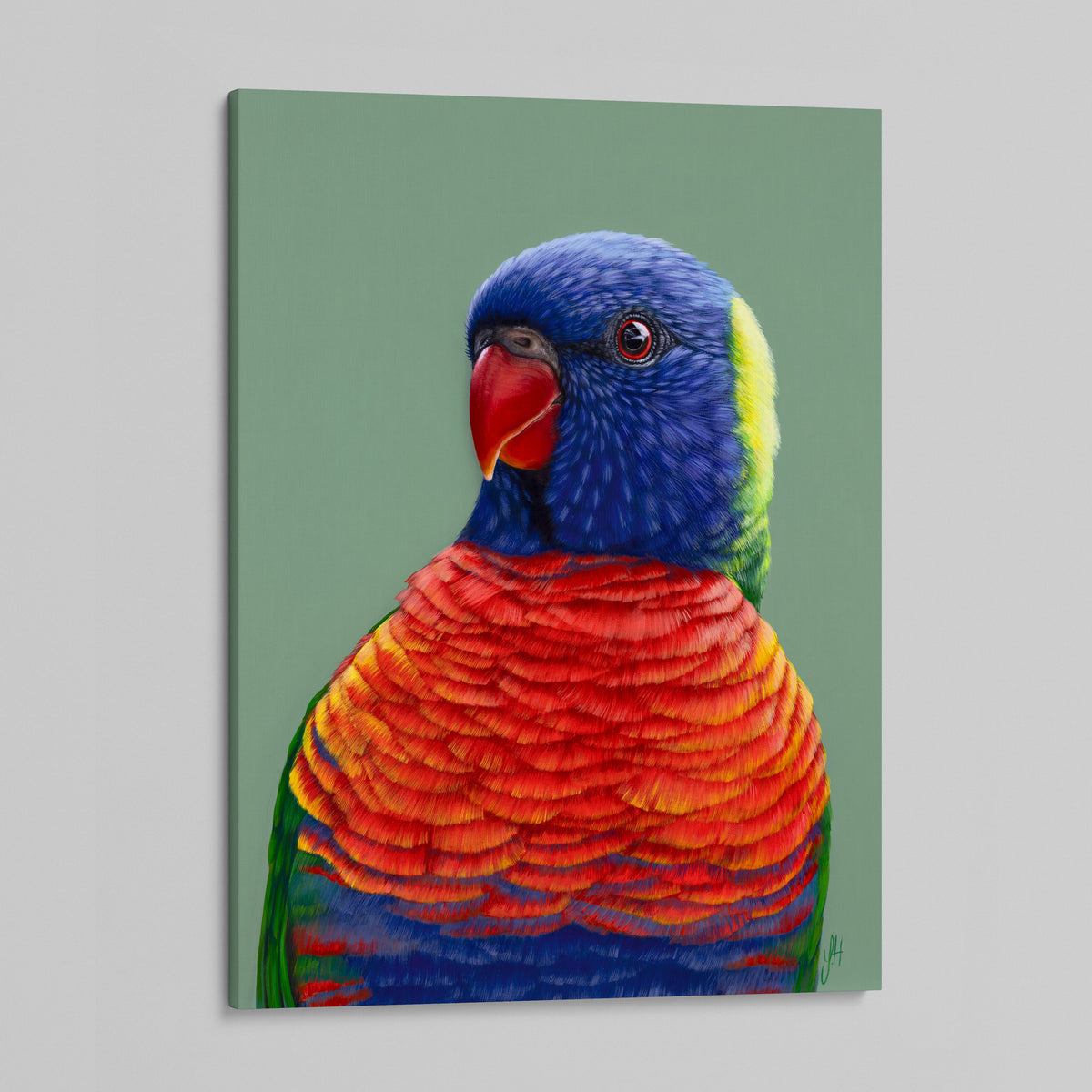 Beau the Rainbow Lorikeet canvas print