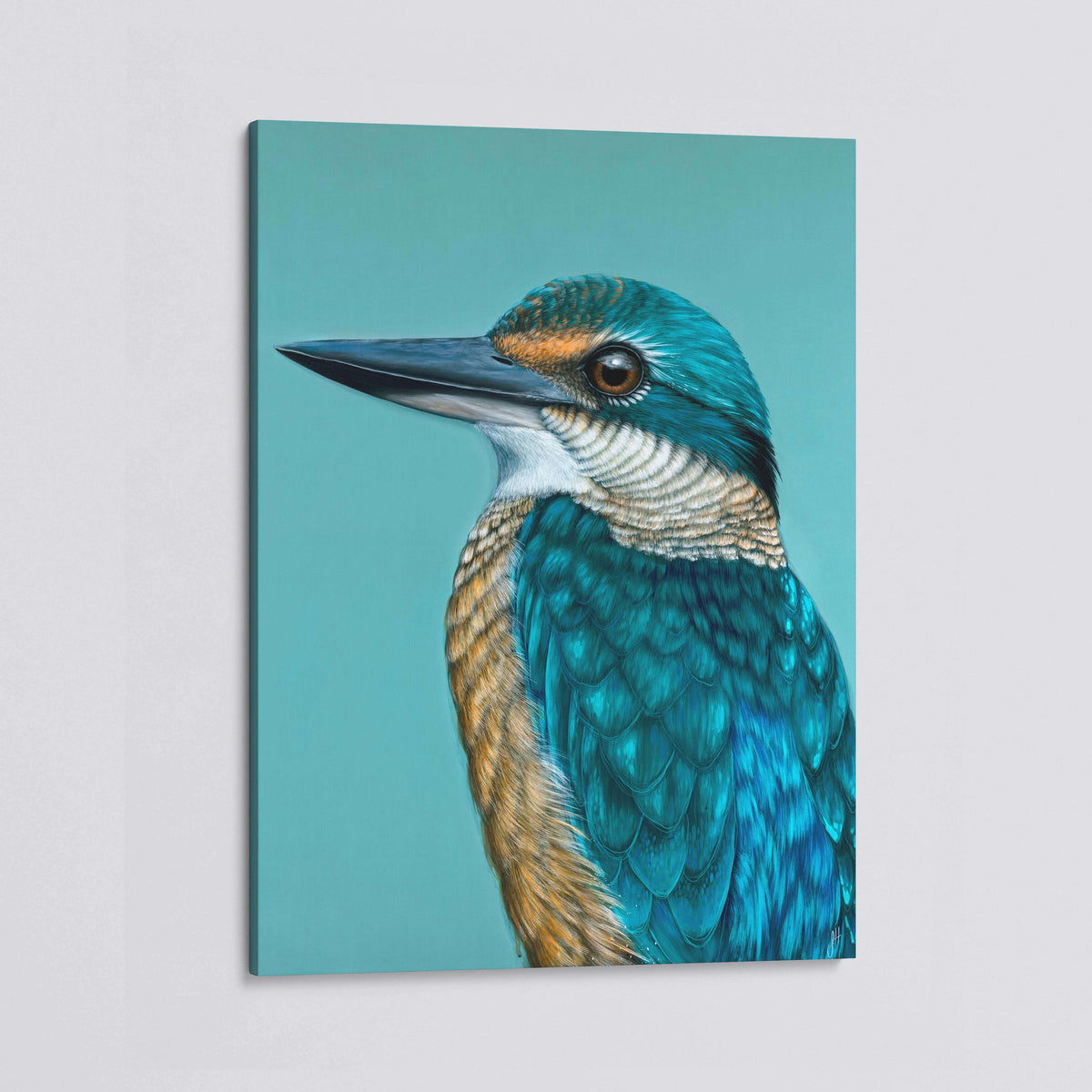 Iluka the Sacred Kingfisher canvas print