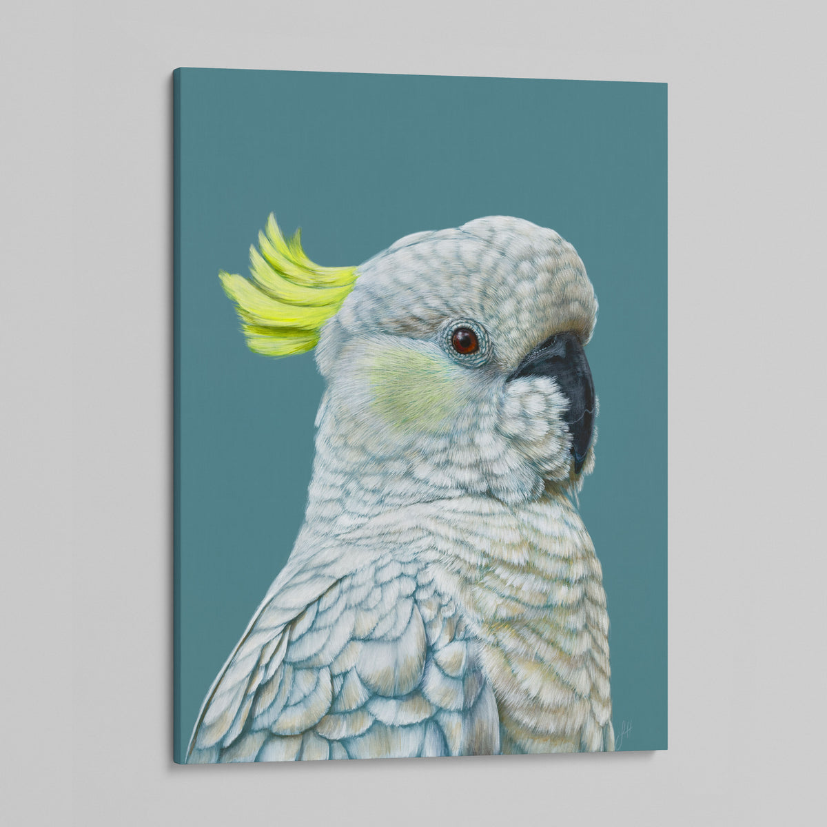 Myrtle the Sulphur Crested Cockatoo canvas print