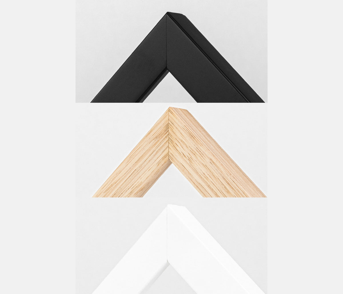 Midnight Flowering Gum