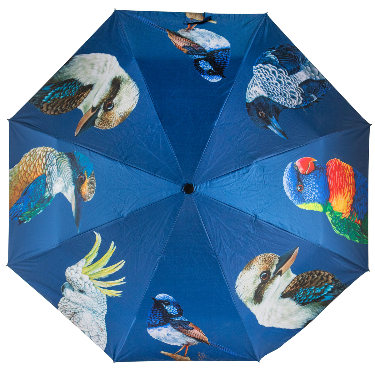 Ashdene Modern Birds umbrella