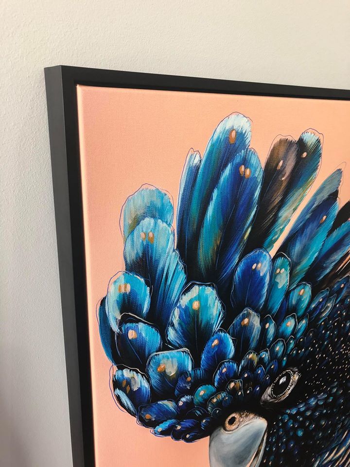 'Jarrah' The Red Tailed Black Cockatoo canvas print