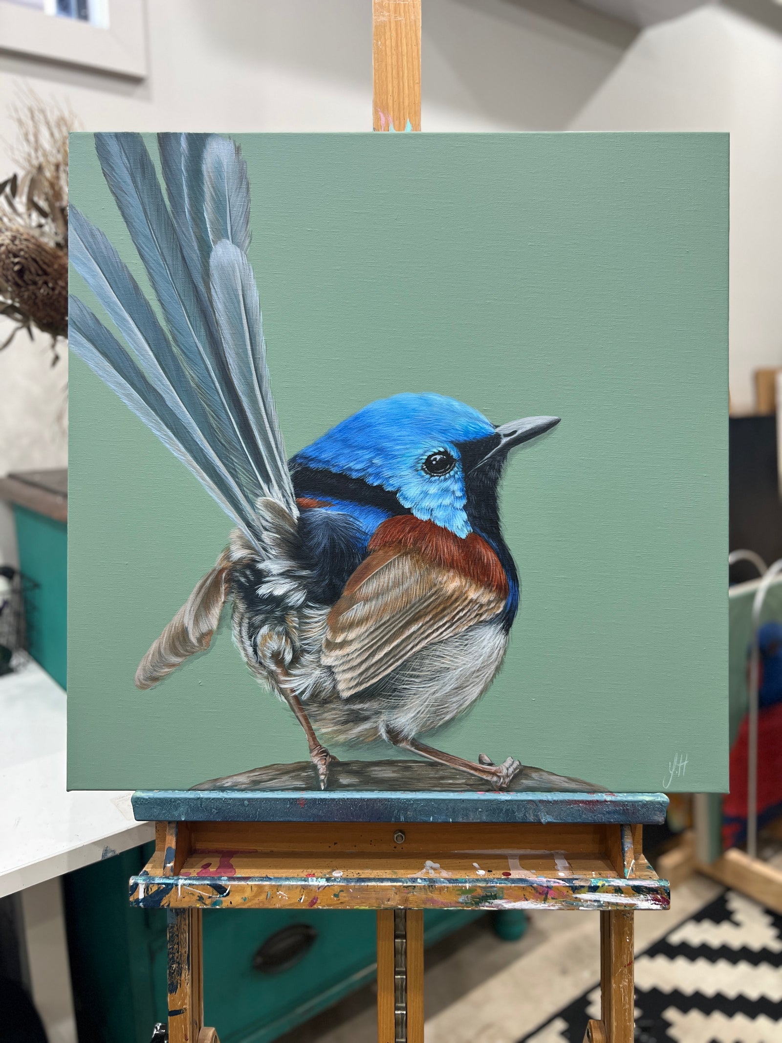 Alfie the Fairy Wren original framed artwork