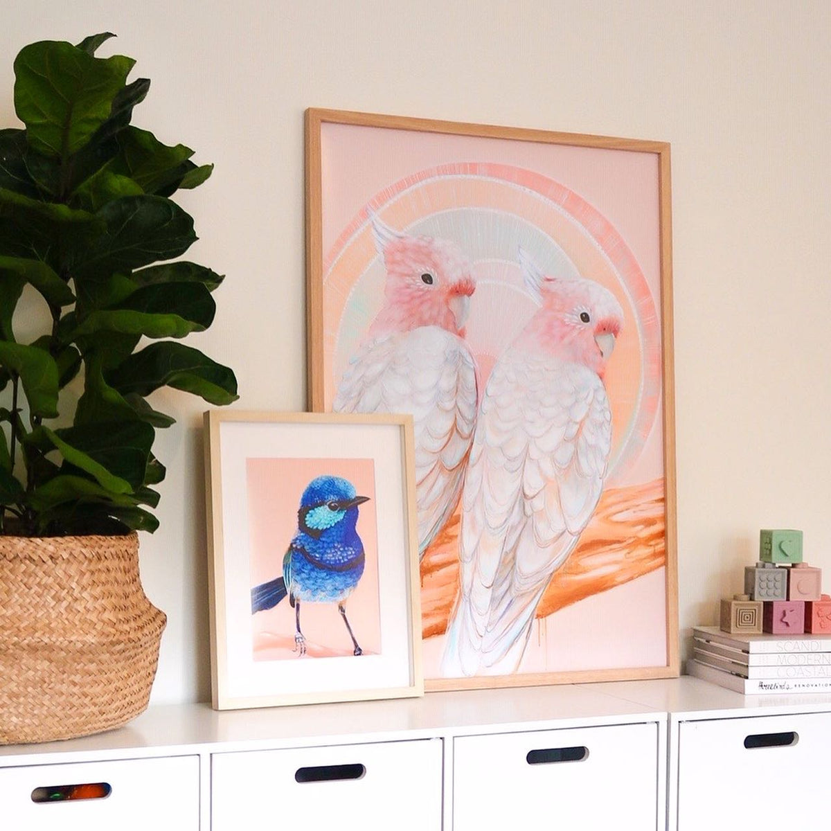 ‘Mitchell and Maude’ Pink Cockatoo pair