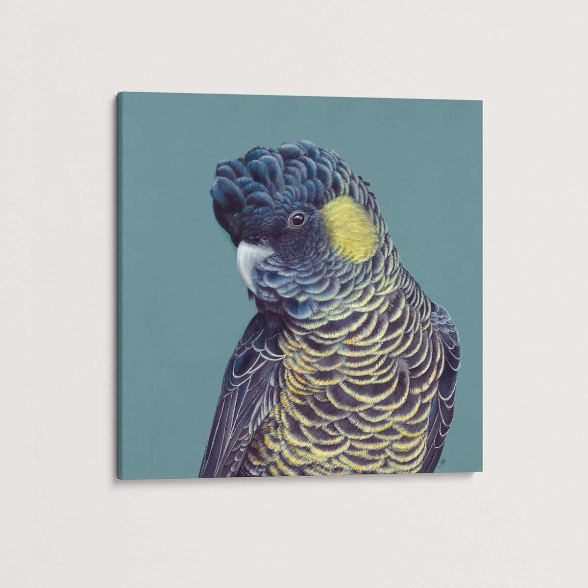 Bindi the Yellow Tailed Black Cockatoo canvas print