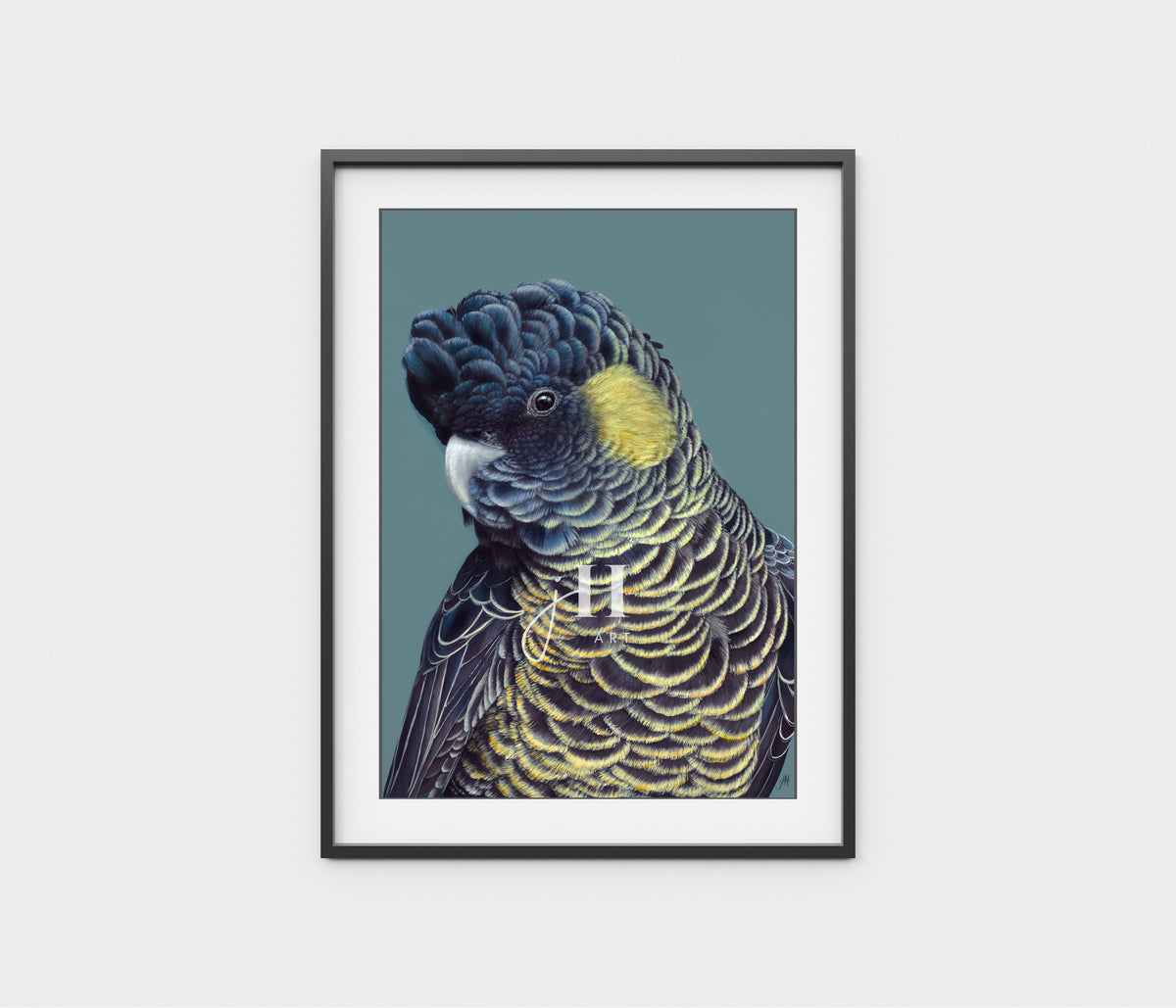 'Bindi' The Yellow Tailed Black Cockatoo