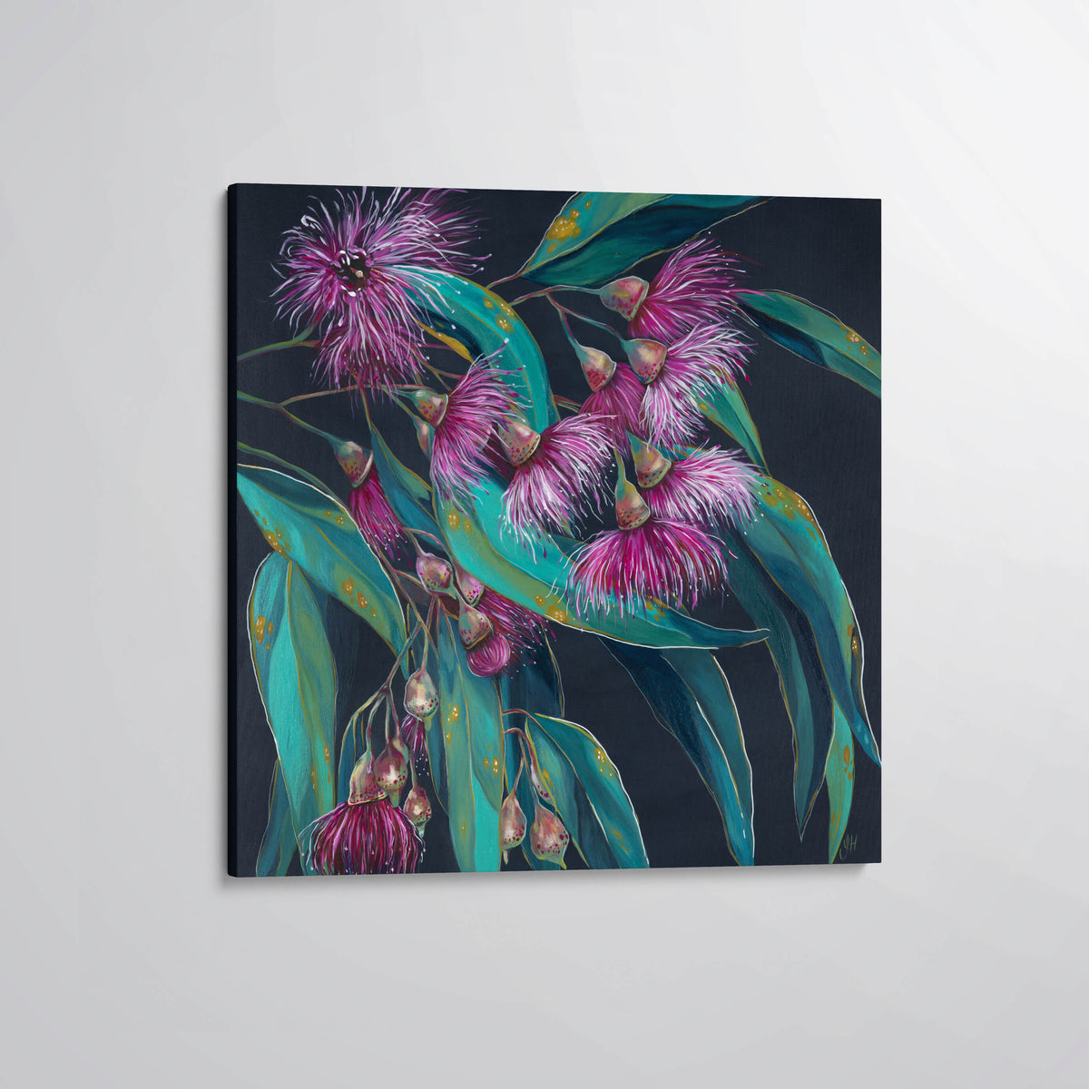 &#39;Candy Blossoms&#39; flowering gum canvas print