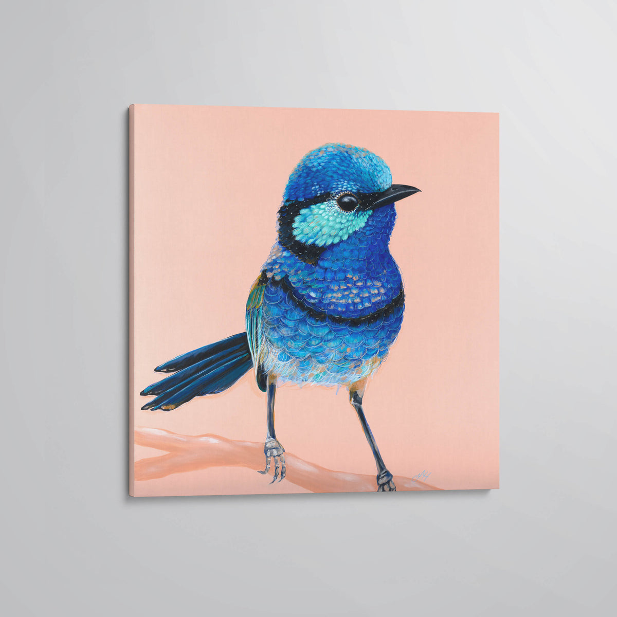 &#39;Charlie&#39; The Splendid Fairy Wren canvas print