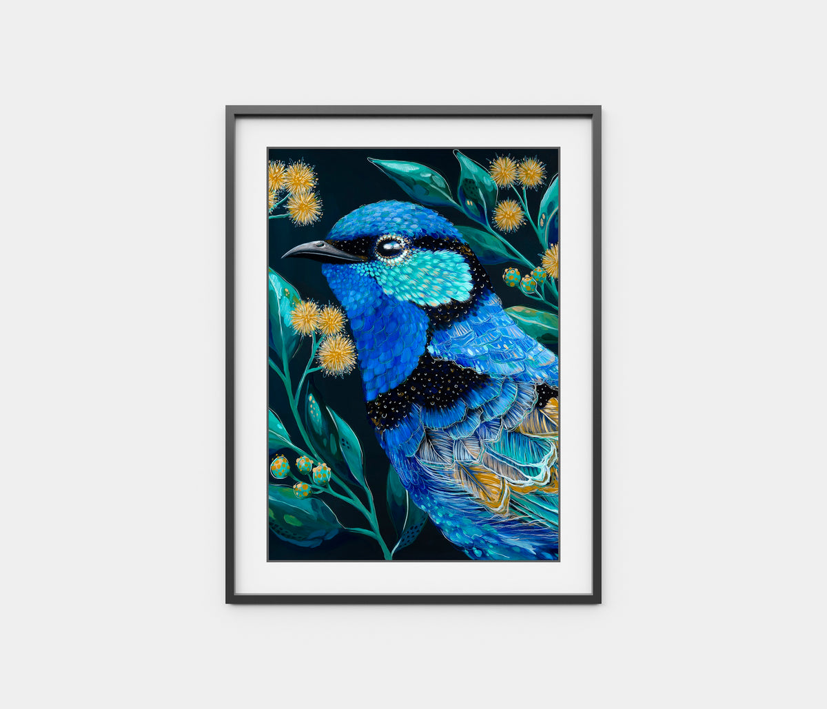 Clancy the Splendid Fairy Wren
