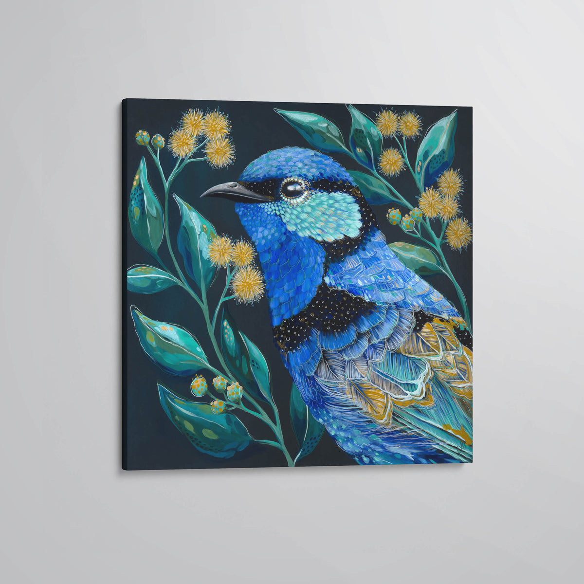 &#39;Clancy&#39; The Splendid Fairy Wren canvas print