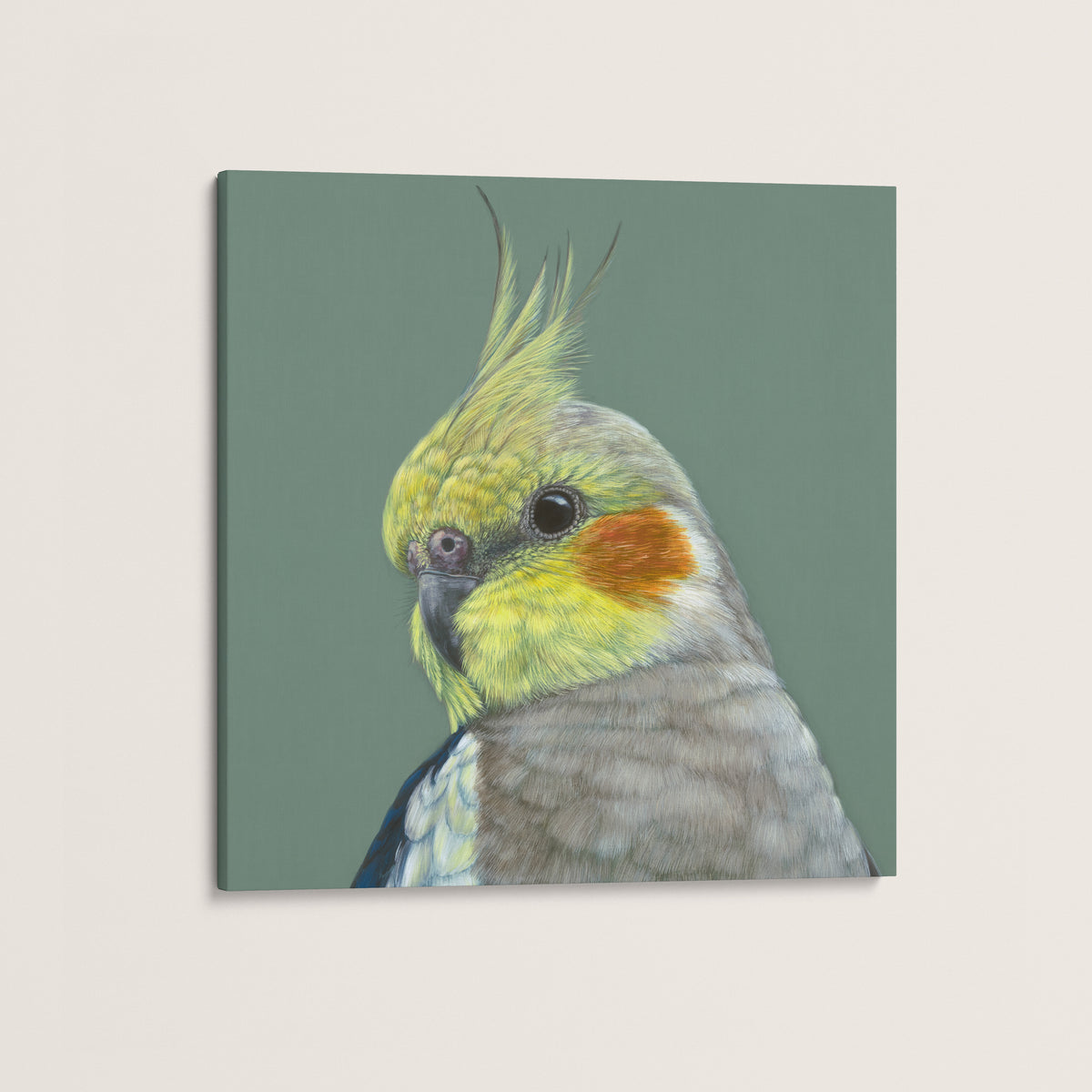 Clyde the Cockatiel canvas print
