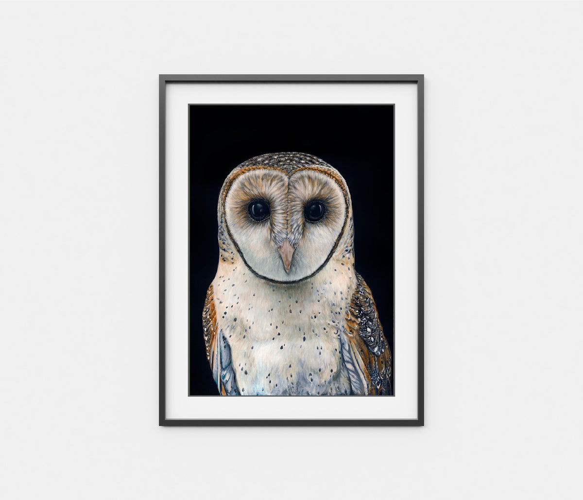 'Faith' the Australian Masked Owl