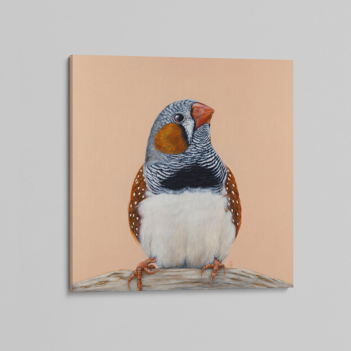 Felix the Zebra Finch canvas print