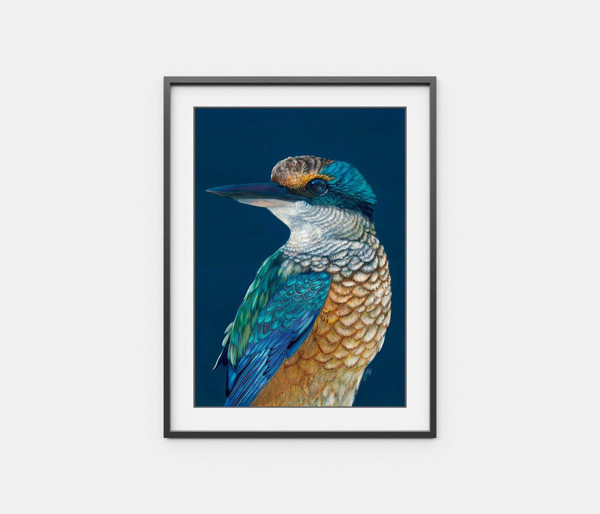'Fisher' the Sacred Kingfisher