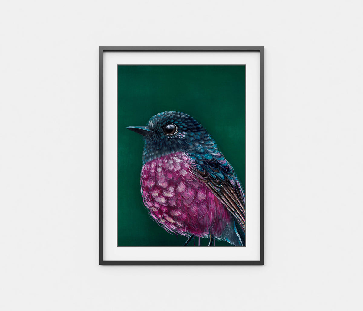 &#39;Fletcher&#39; The Pink Robin