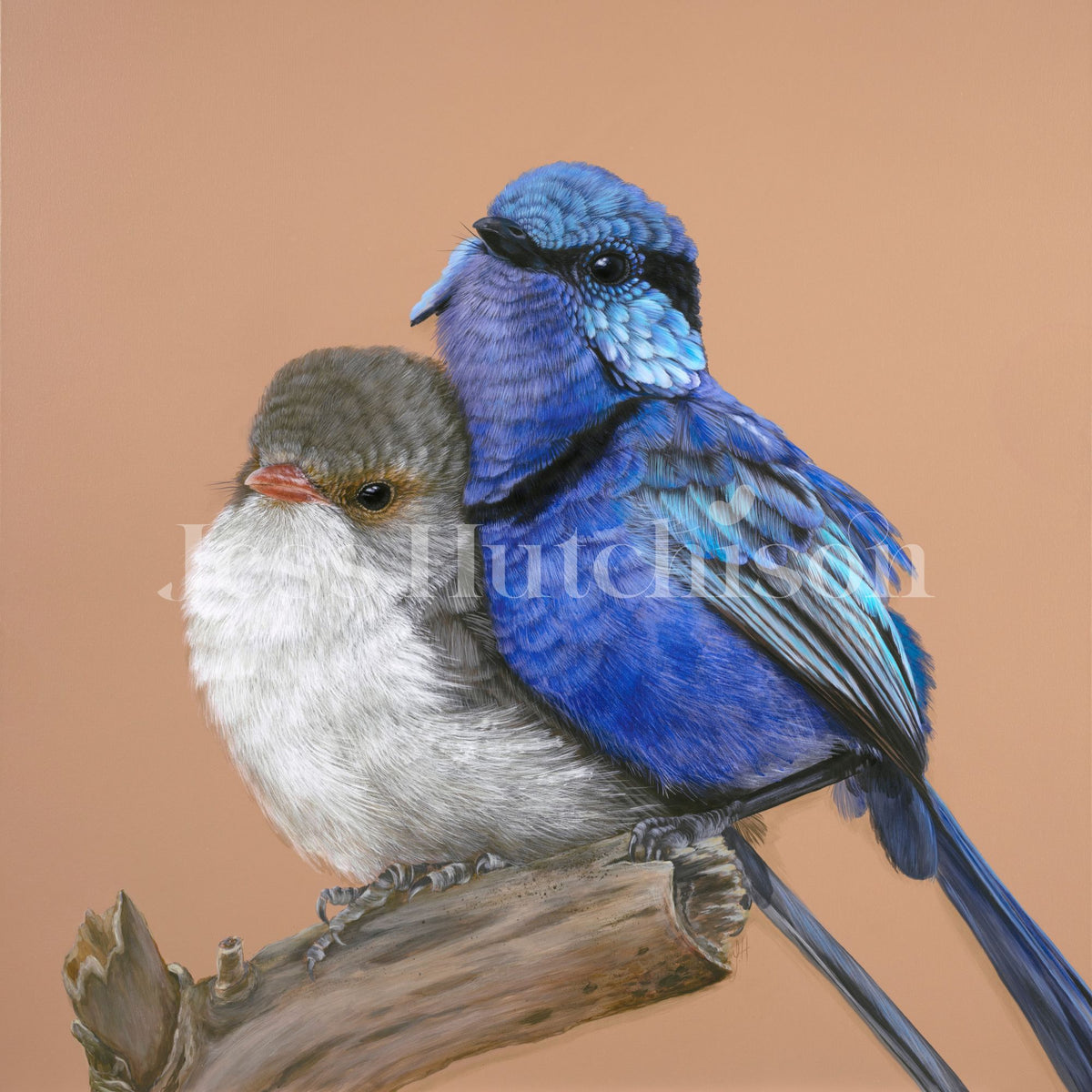 Mini print set of 3 PRE-ORDER