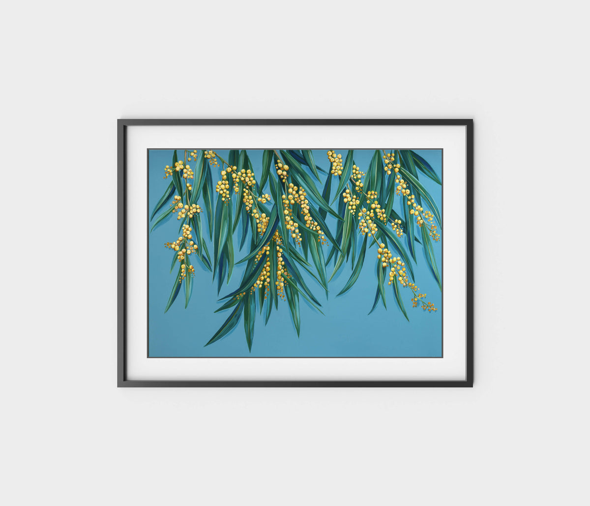 'Golden Hour' Wattle