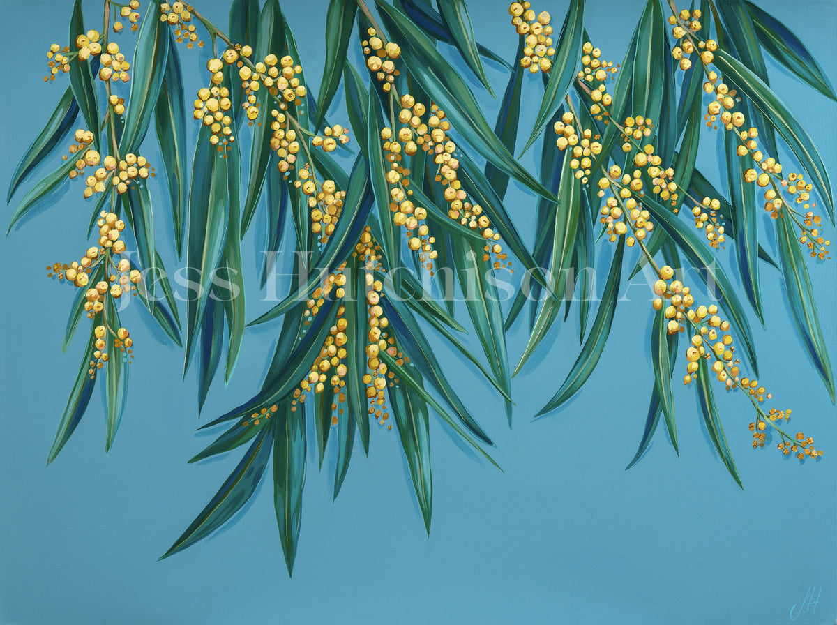 'Golden Hour' Wattle - Original framed artwork