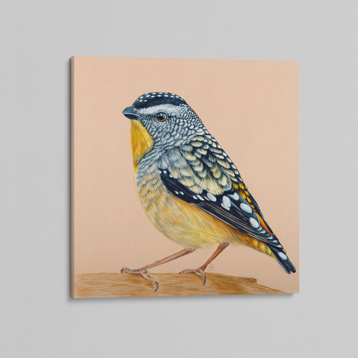 Gus the Spotted Pardalote canvas print