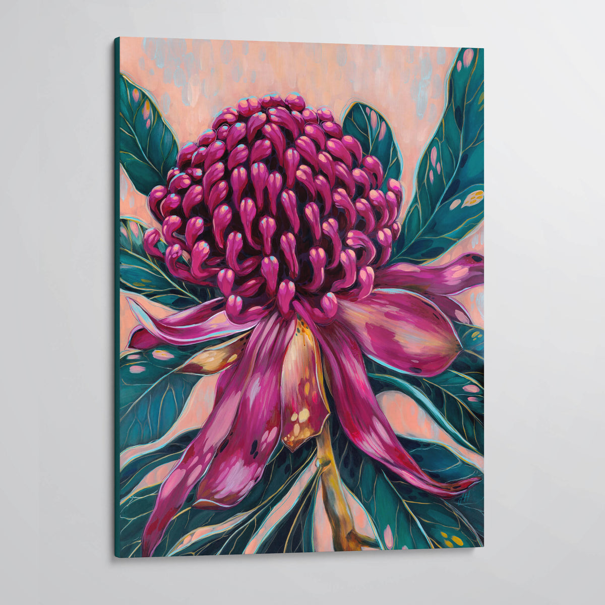 'Inner Beauty' - Waratah canvas print