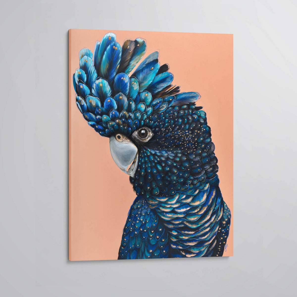 &#39;Jarrah&#39; The Red Tailed Black Cockatoo canvas print