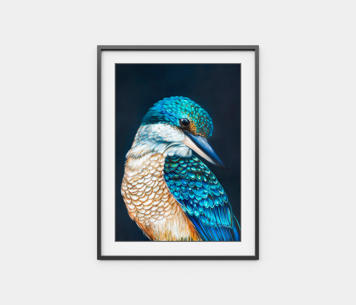 'Kingsley' the Sacred Kingfisher