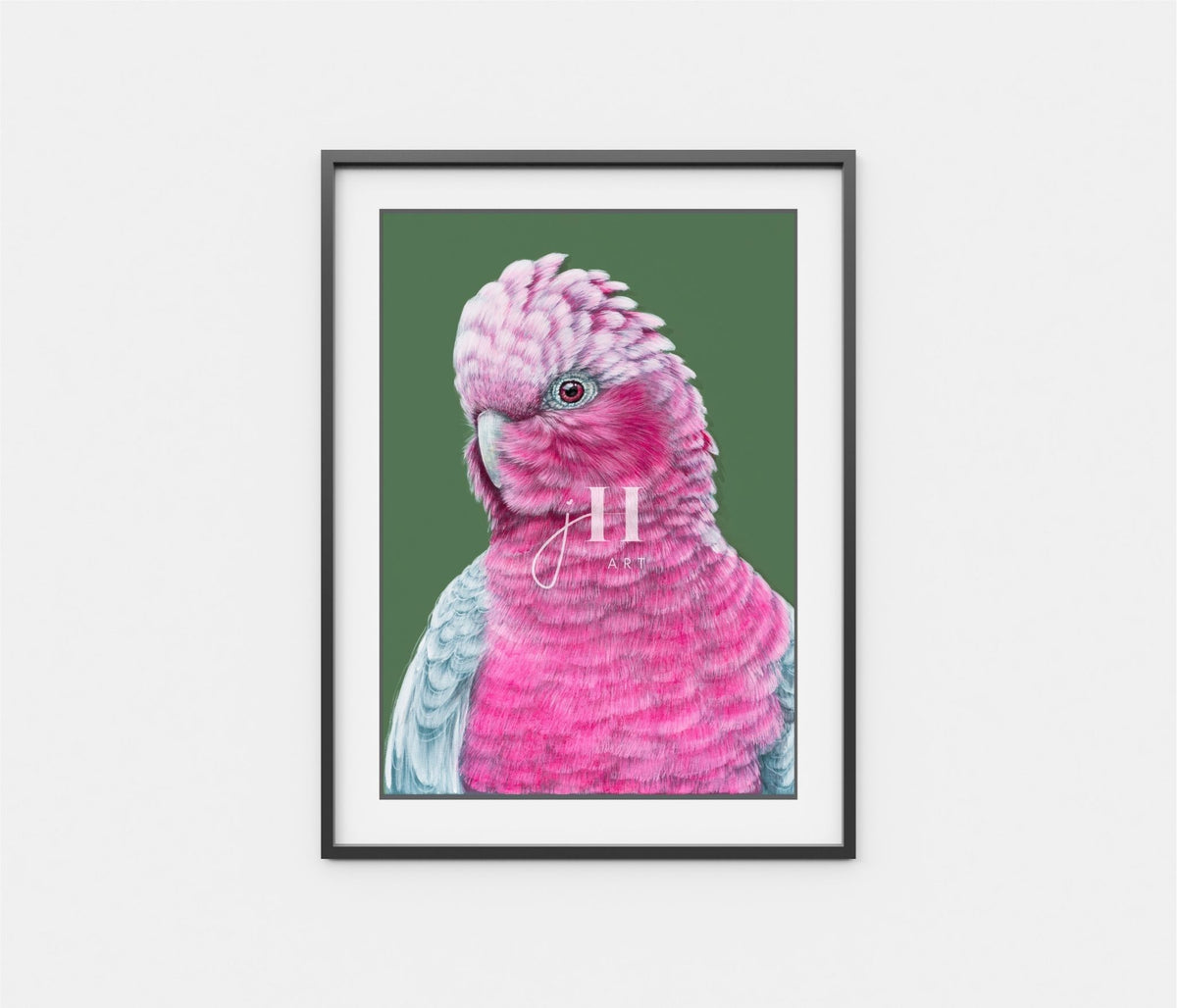 Lottie the Galah