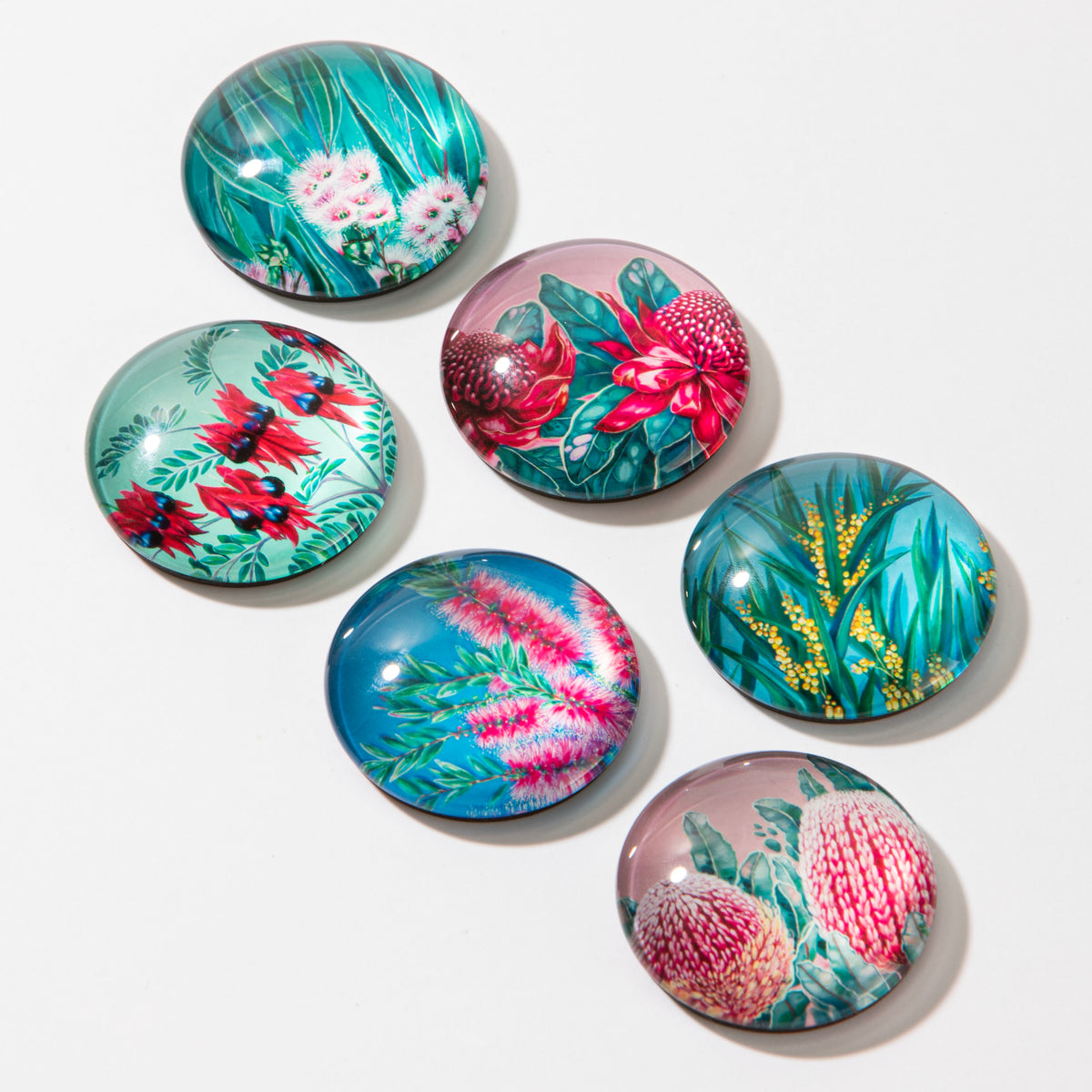 Ashdene Native Flora gift boxed set of 6 magnets PRE-ORDER