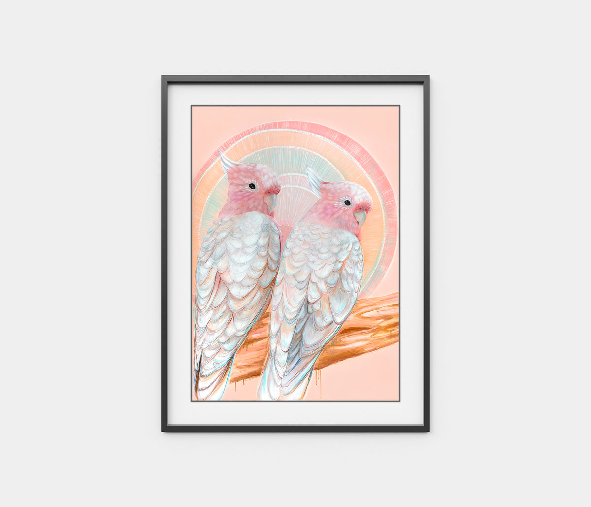 ‘Mitchell and Maude’ Pink Cockatoo pair
