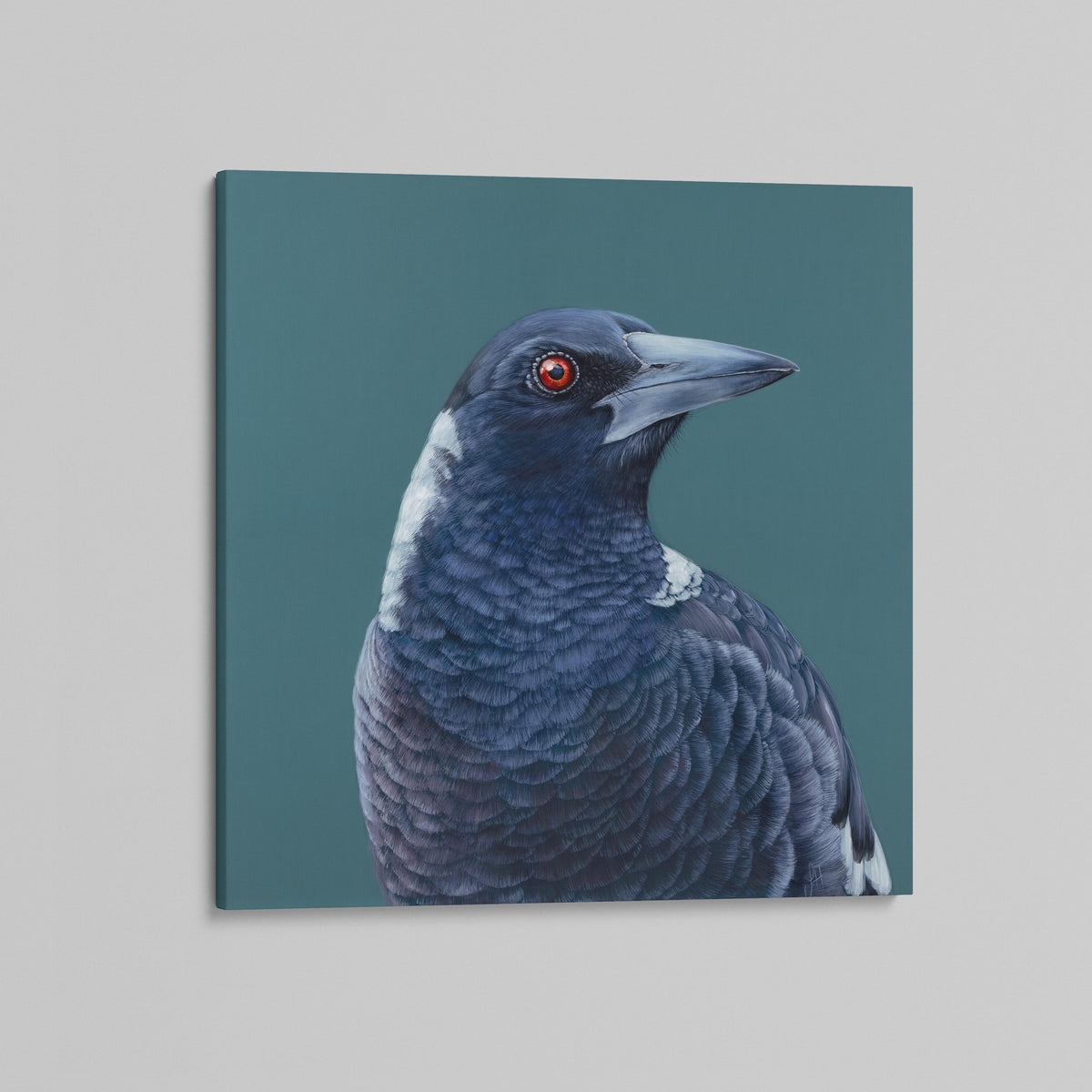Maverick the Magpie canvas print