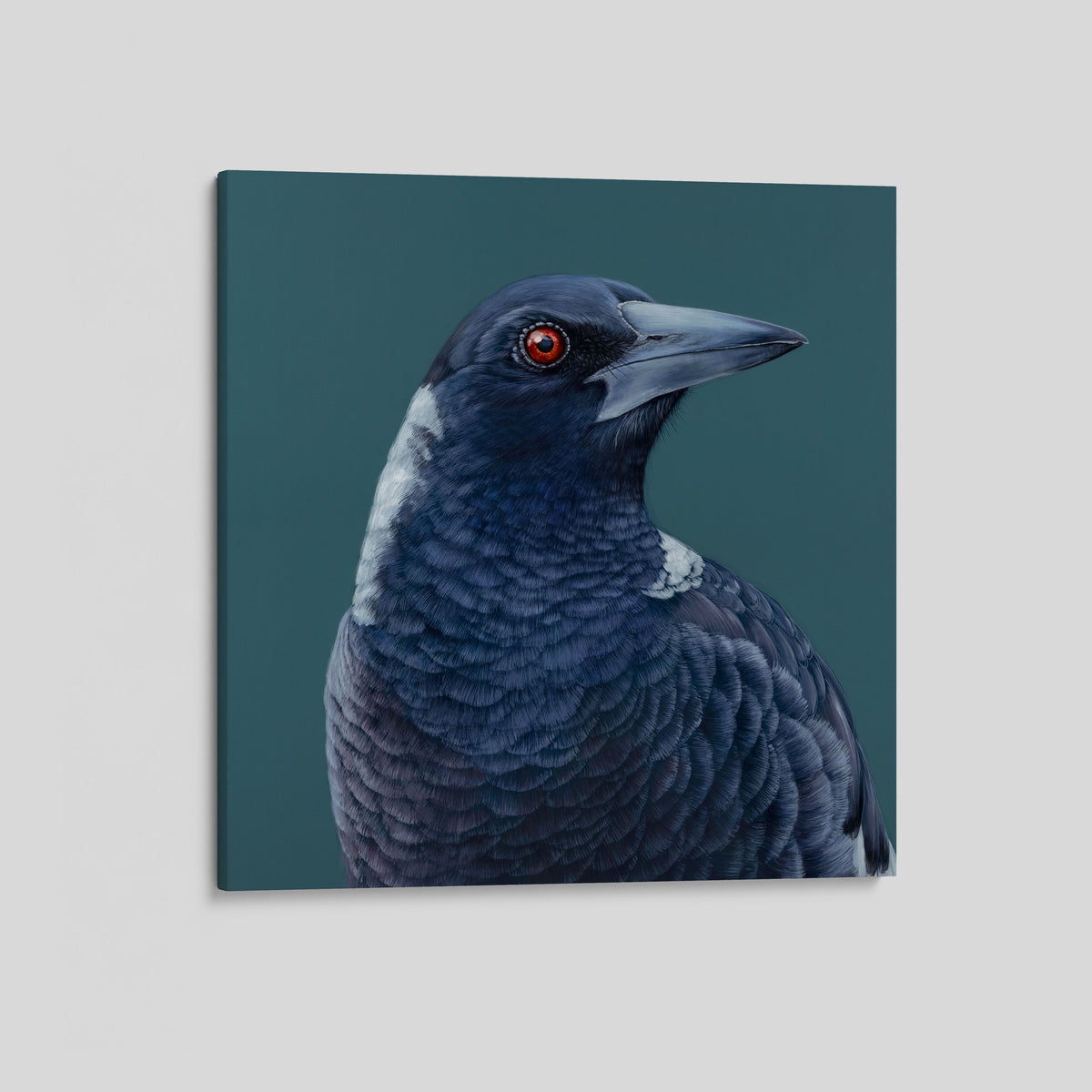 Maverick the Magpie canvas print