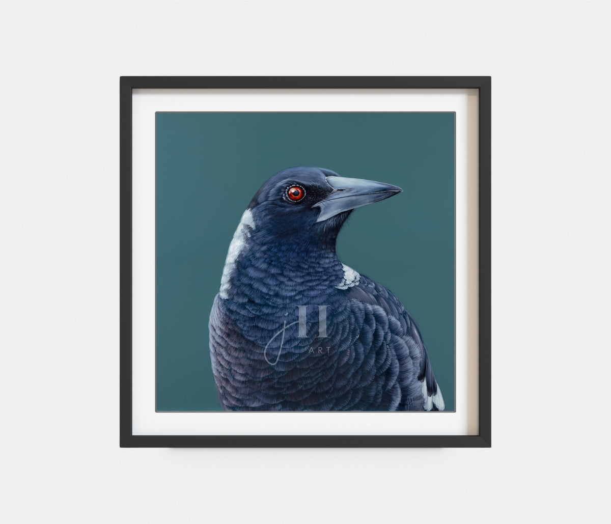 'Maverick' the Magpie