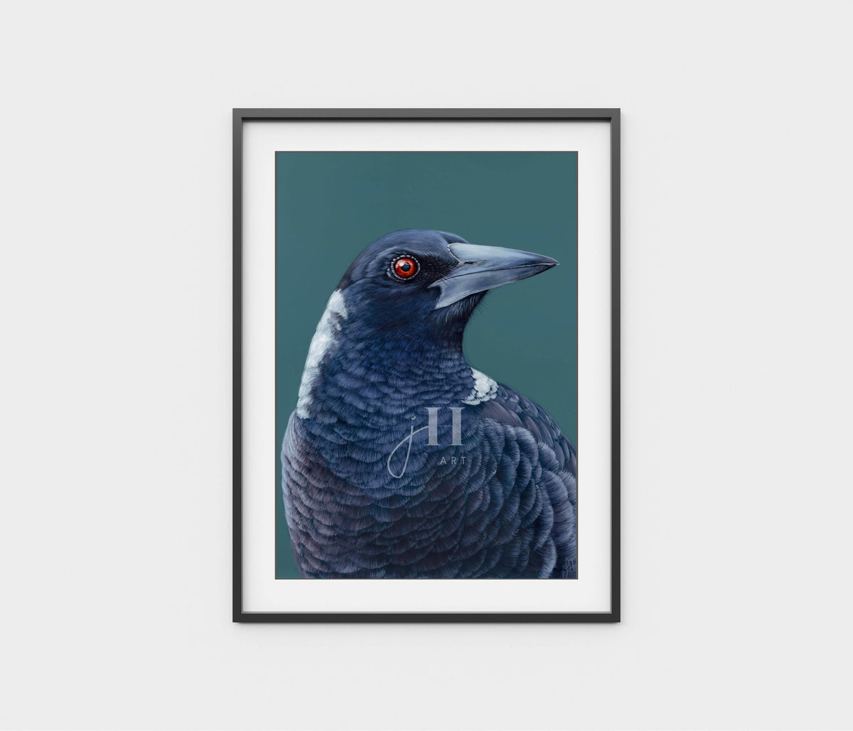'Maverick' the Magpie