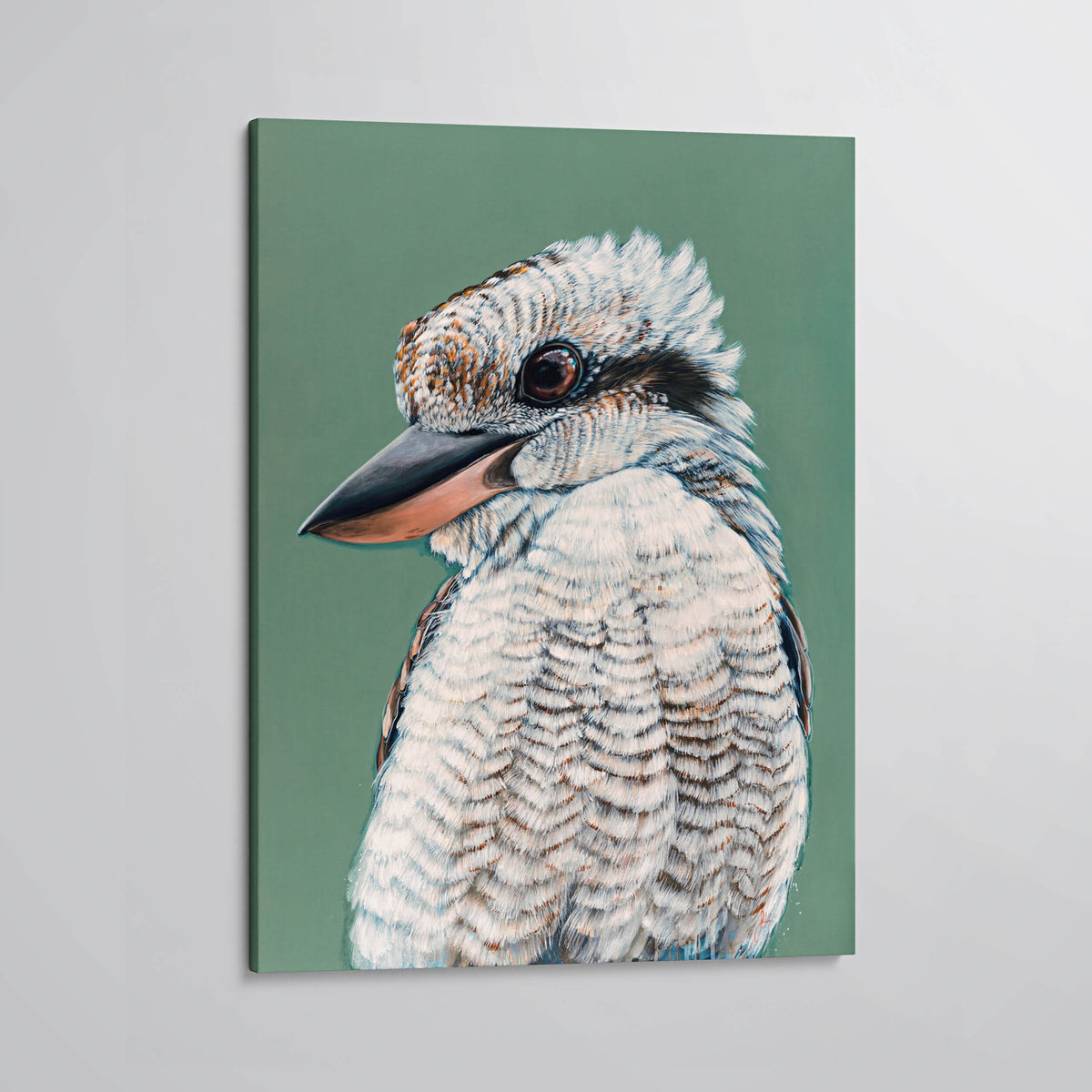 Maya the Kookaburra Canvas Print