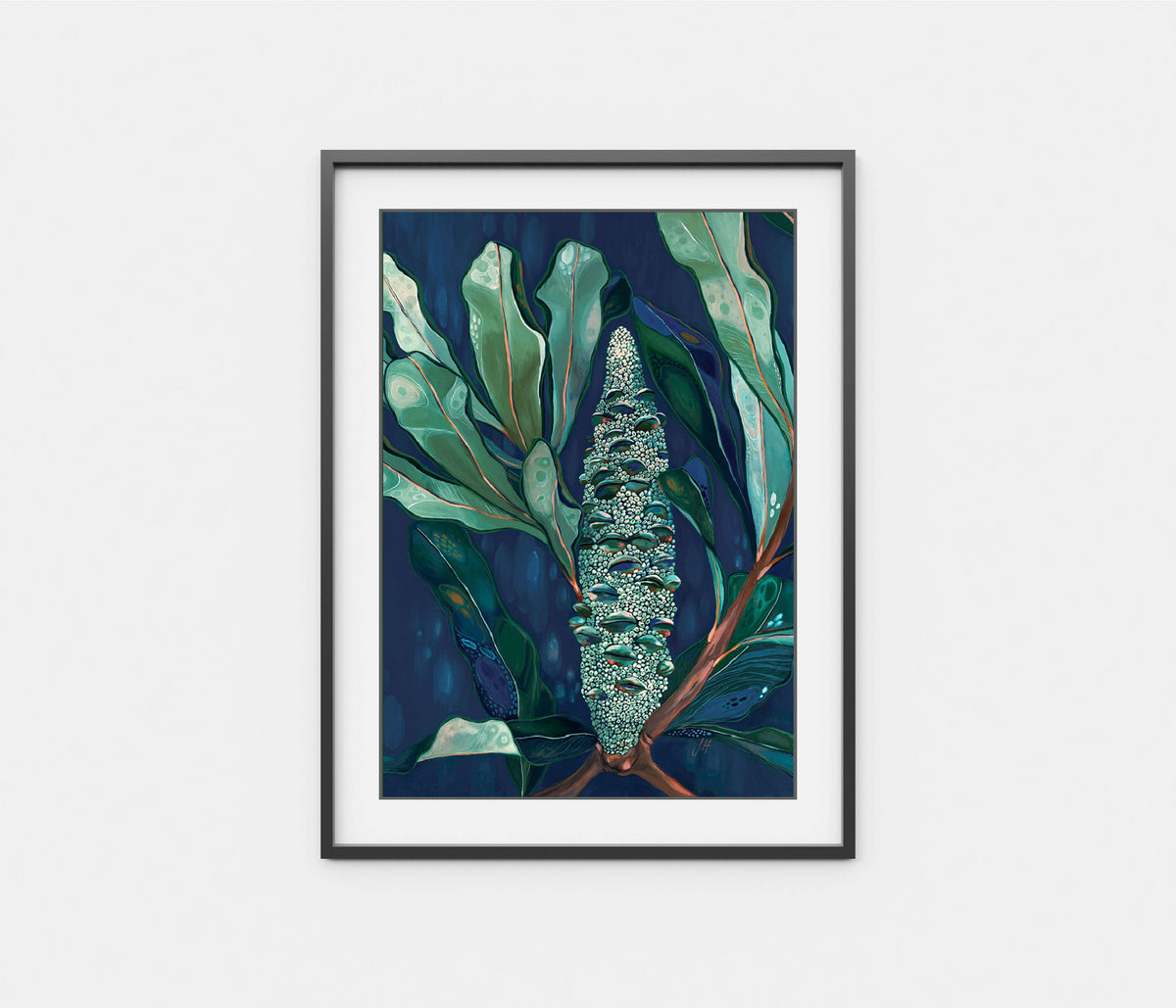 Midnight Banksia