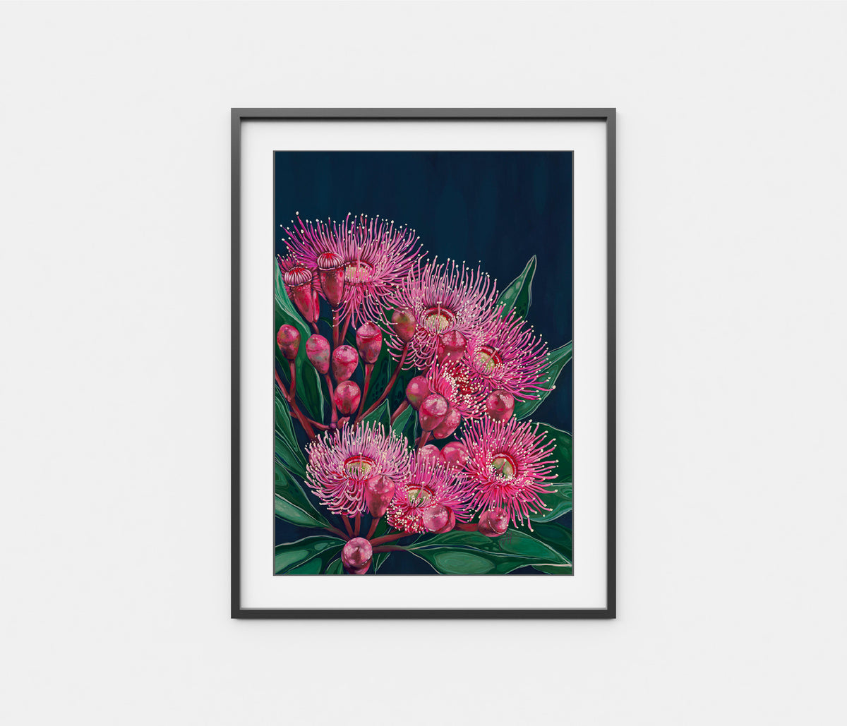 Midnight Flowering Gum
