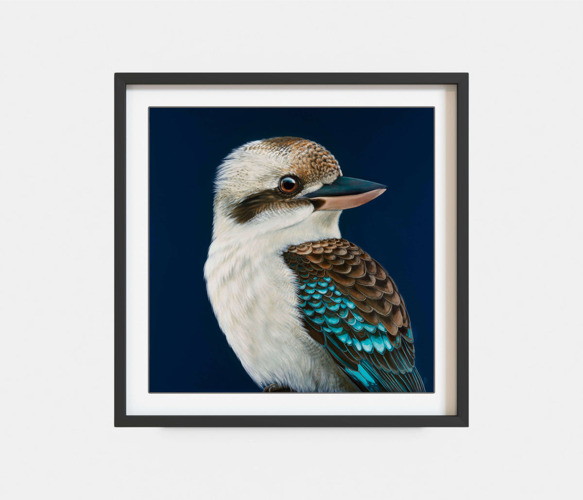 'Milo' The Laughing Kookaburra