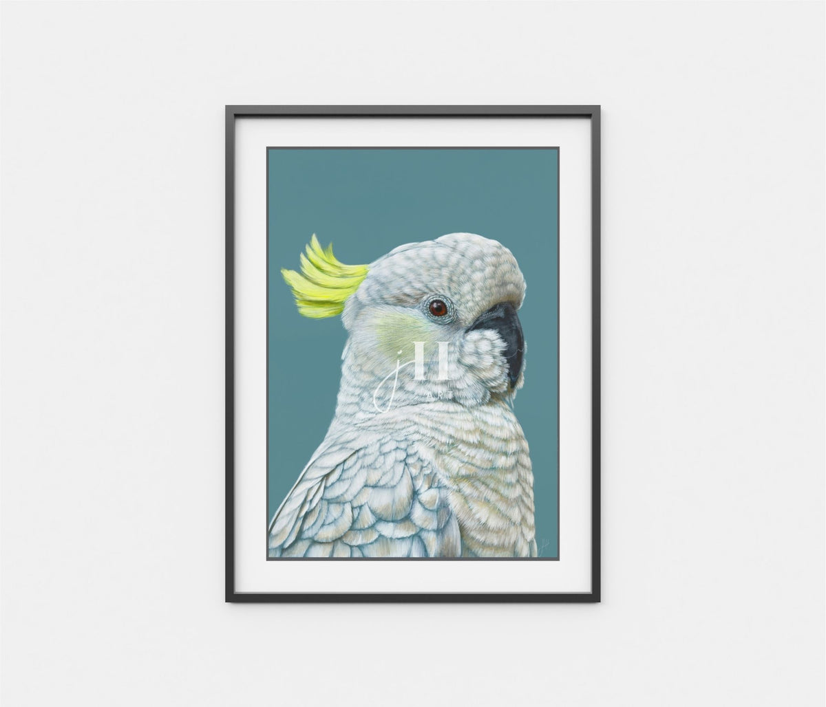 'Myrtle' The Sulphur Crested Cockatoo