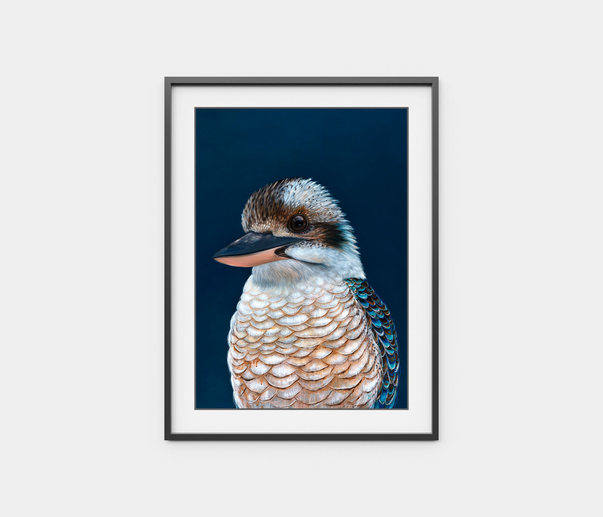 'Ollie' the Kookaburra