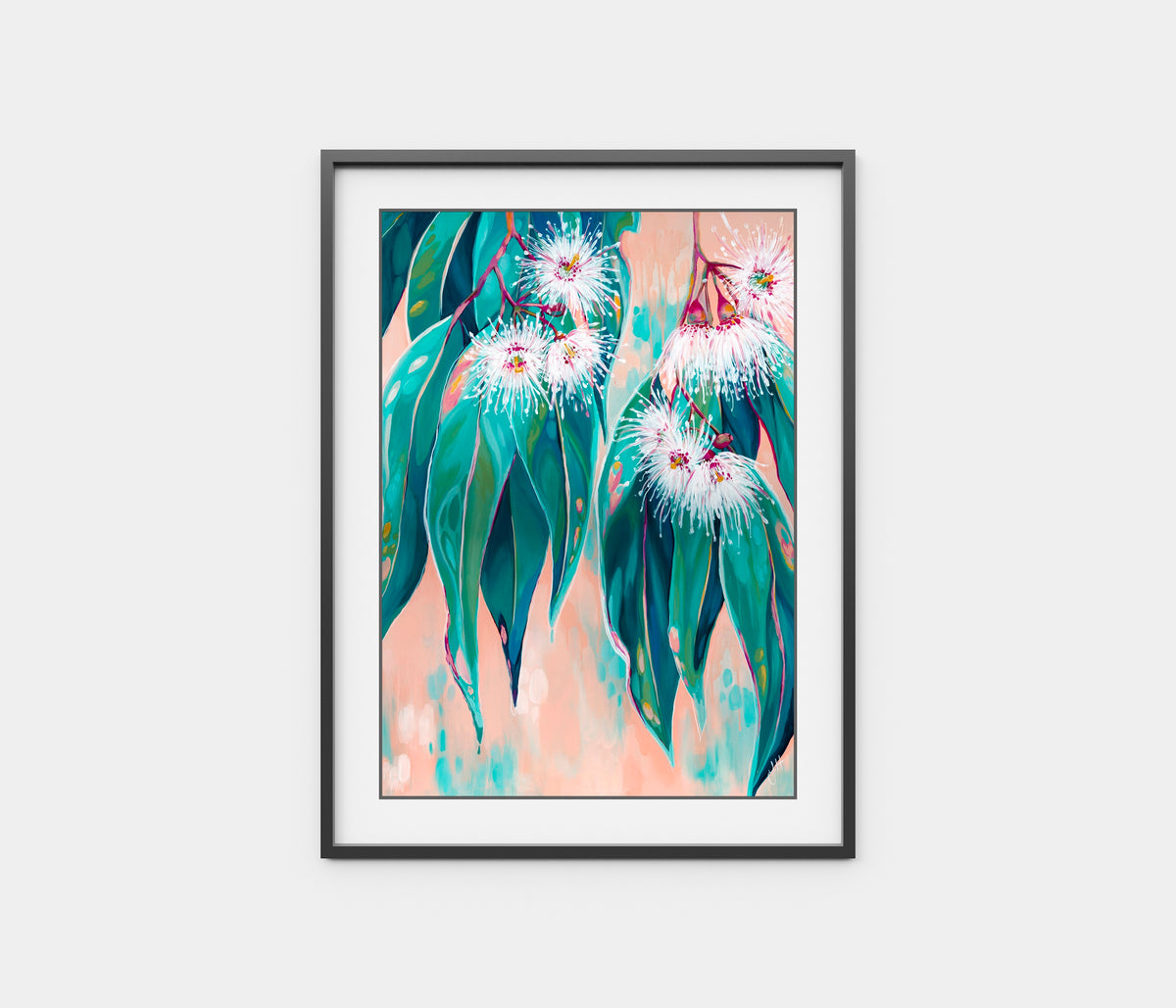 'Peachy' Flowering Gum