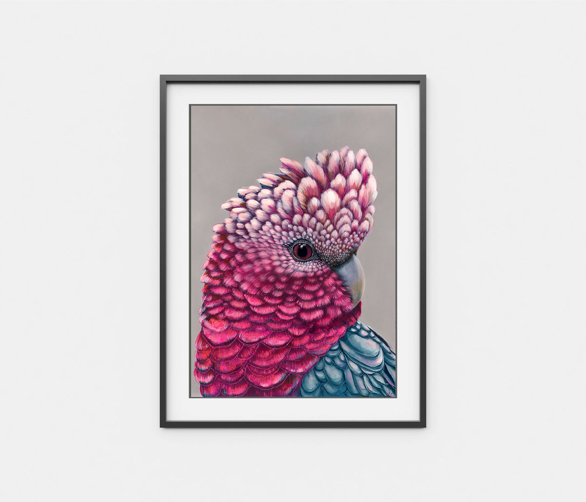 'Penelope' the Galah