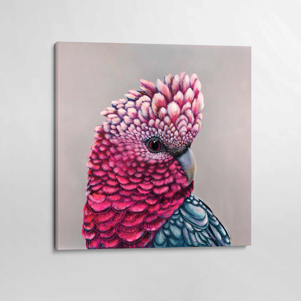 'Penelope' the Galah canvas print