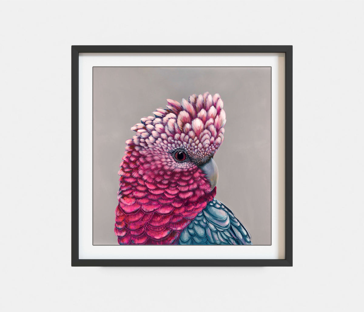 'Penelope' the Galah