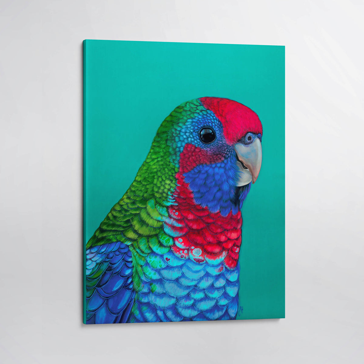 Percy the Crimson Rosella Canvas Print