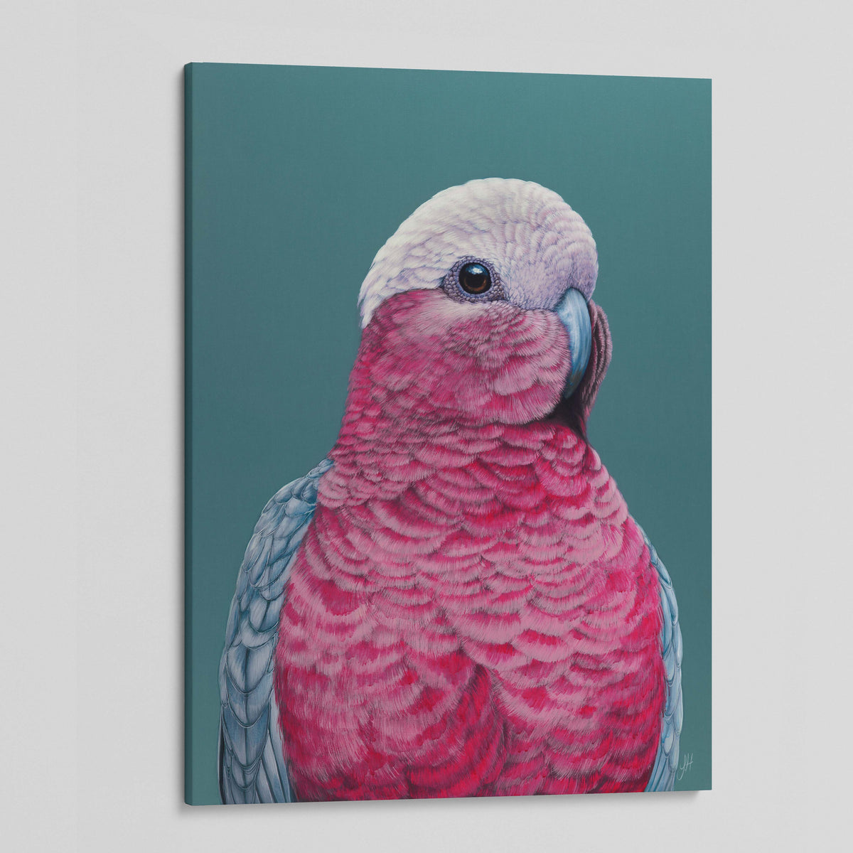 Pete the Galah canvas print
