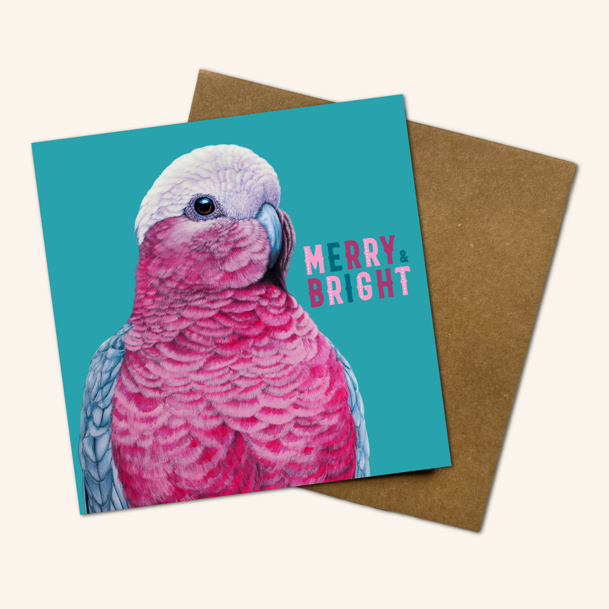 'Pete' The galah Christmas Card