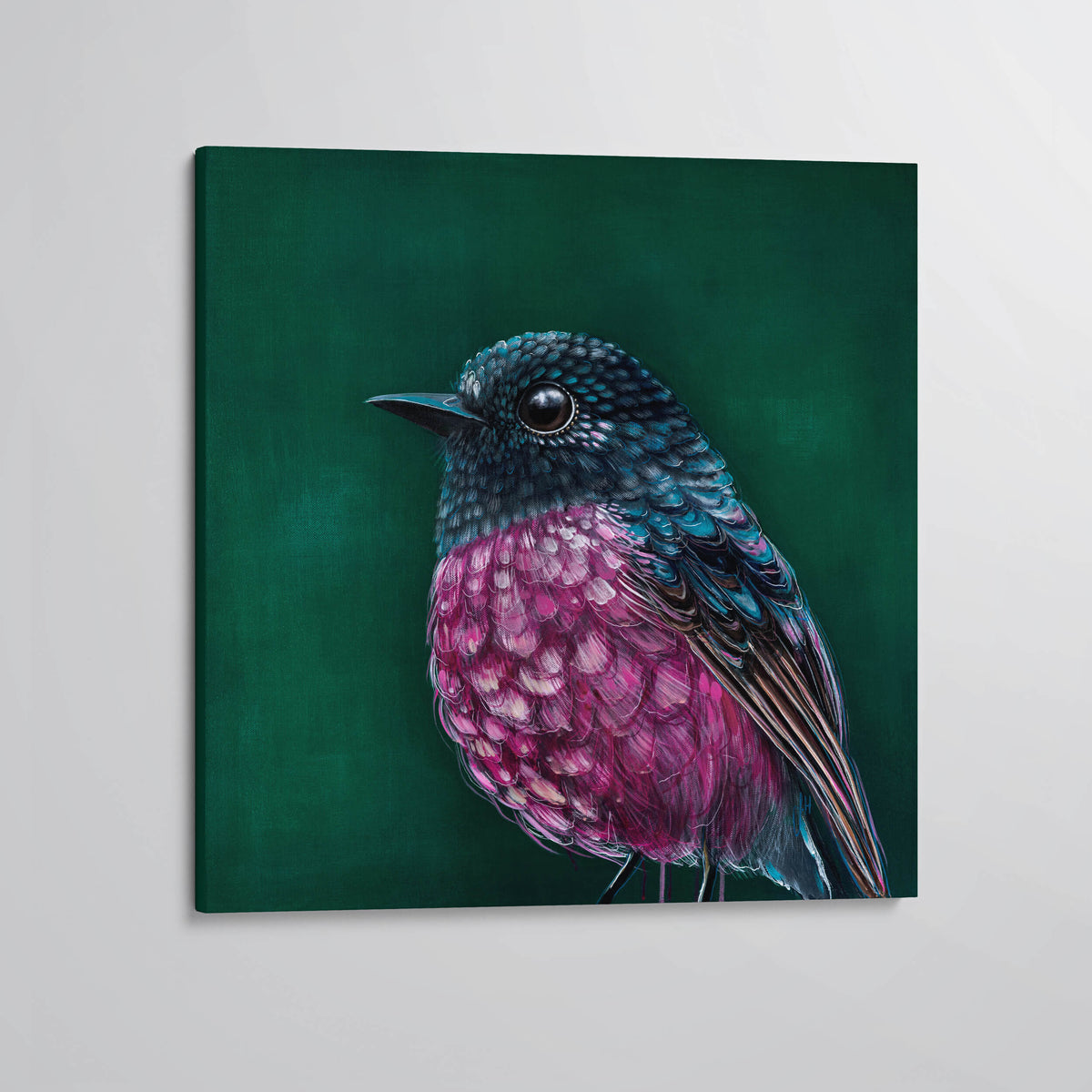 &#39;Fletcher&#39; The Pink Robin canvas print